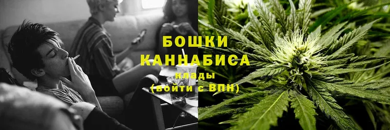 мориарти телеграм  Дятьково  Бошки Шишки THC 21%  где продают наркотики 